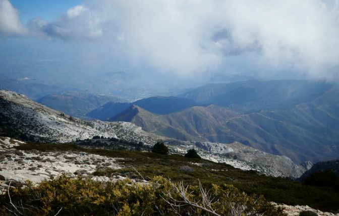 blog-grid-1-410x308