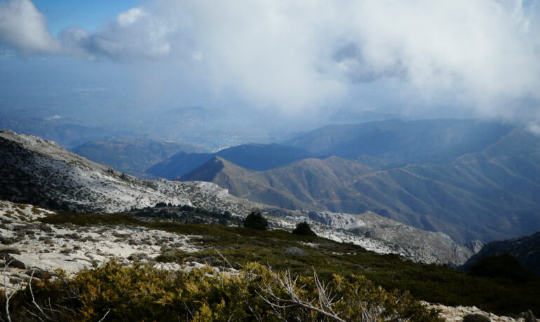 El Torrecilla, Málaga