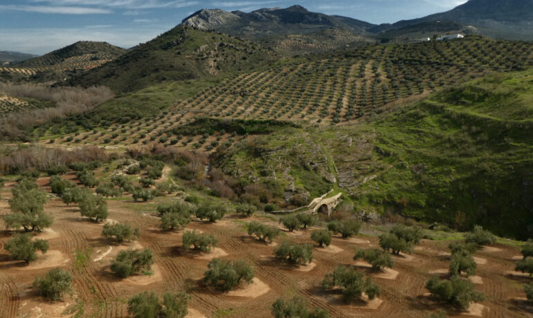 Via Verde del Aceite desde Jaén a Córdoba