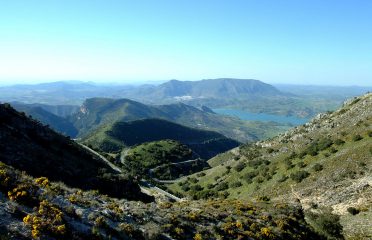blog-grid-1-410x308