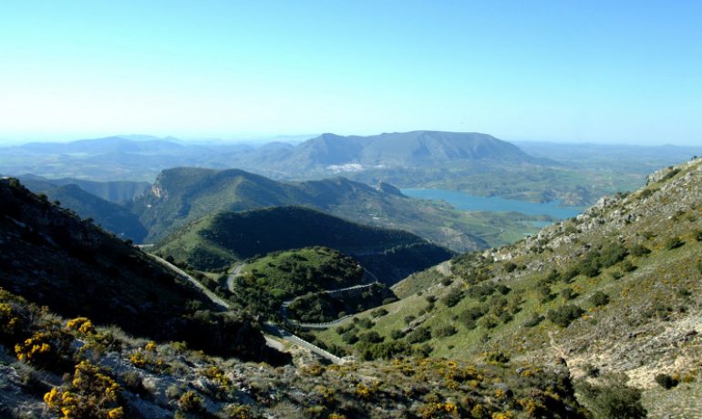 Denominación de Origen Sierra de Cádiz