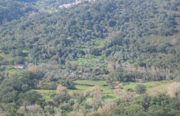 blog-grid-1-410x308