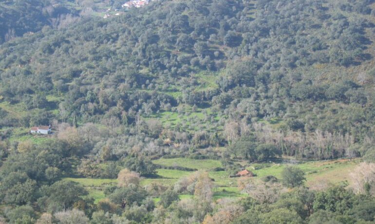 Parque Natural de Sierra de Aracena y Picos de Aroche