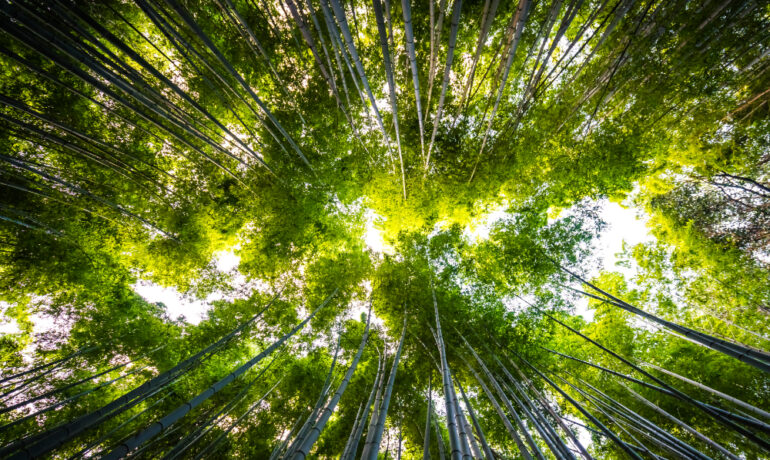 GICM Consultoría medioambiental